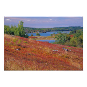 Impression Photo NA, USA, Maine. Blueberry Barrens.