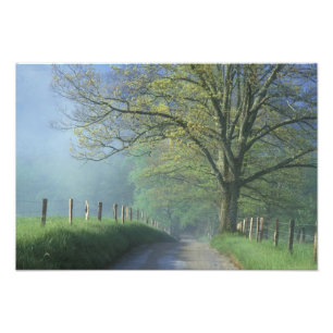 Impression Photo NA, USA, Tennessee, Cades Cove, Super Smoke