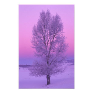 Impression Photo NA, USA, Wyoming, Yellowstone NP, Paysage