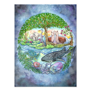 Impression Photo Nations Unies