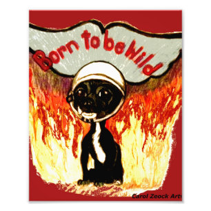 Impression Photo Né pour être sauvage Chihuahua par Carol Zeock