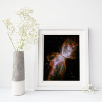 Nébuleuse papillon Image spatiale