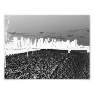 Impression Photo Neige de New York