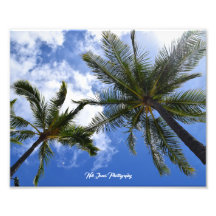 Neil Jones Photography - Palmiers sur la plage de 
