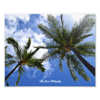 Impression Photo Neil Jones Photography - Palmiers sur la plage de