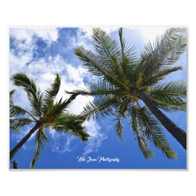 Impression Photo Neil Jones Photography - Palmiers sur la plage de  (Devant)