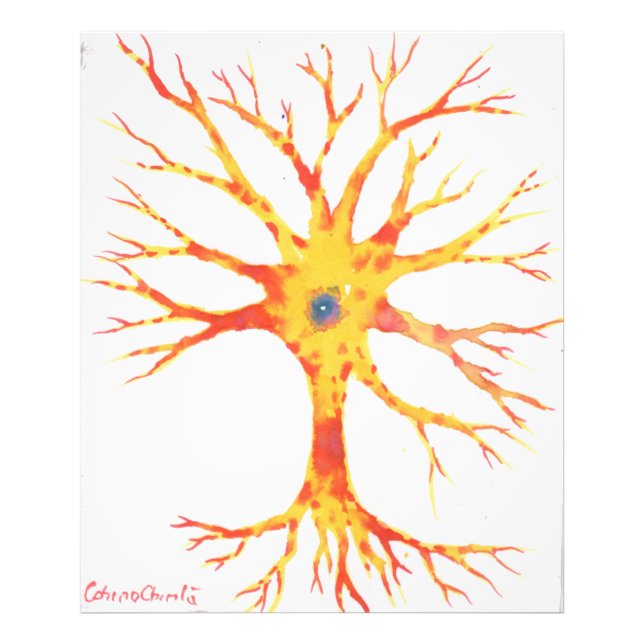 Impression Photo Neuron (Devant)