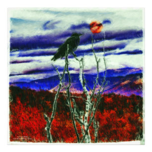 Impression Photo Nuit d'automne