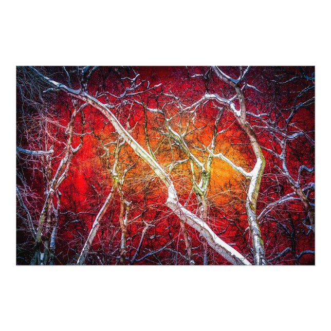 Impression Photo Nuit d'hiver rouge (Devant)
