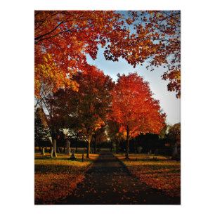 Impression Photo "Octobre Shine"