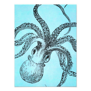 Impression Photo Octopus vintage des années 1800 sur aquarelle bleu