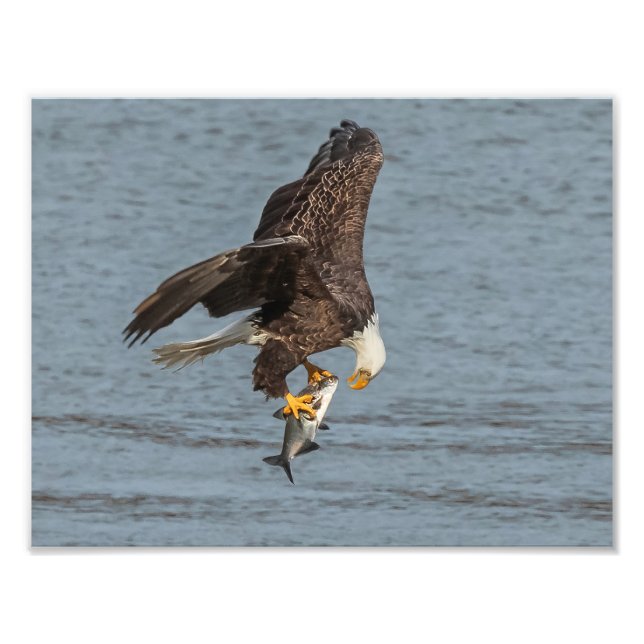 Impression Photo Oeil à oeil (Devant)