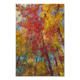 Impression Photo Oeuvre forestière d'automne