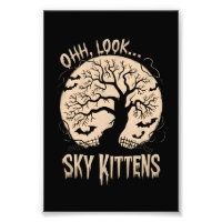 Oh Regardez Les Chats Du Ciel Halloween Drôles De