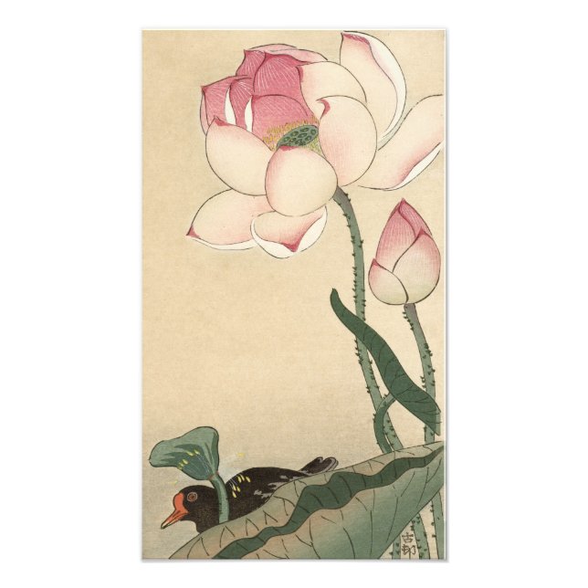 Impression Photo Ohara Koson, Fleur de Lotus - Art Japonais (Devant)