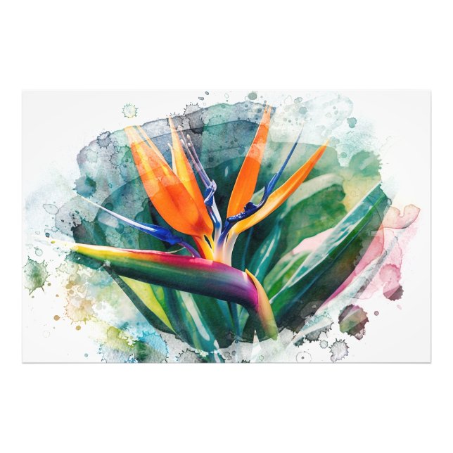 Impression Photo *~* Oiseau de Paradis AP10 Peinture d'art #2 (Devant)