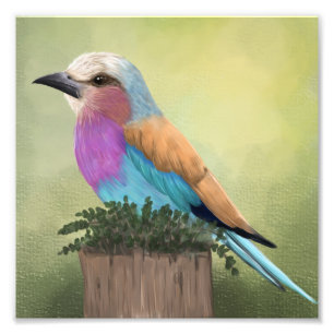 Impression Photo Oiseaux colorés à rouleaux de Lilac