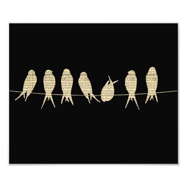 Impression Photo Oiseaux de musique (Devant)