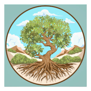 Impression Photo Olive tree Symbole de paix dans la Palestine libre