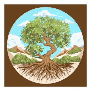 Impression Photo Olive tree Symbole de paix dans la Palestine libre