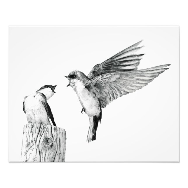 Impression Photo On Swallow's Wings (Devant)