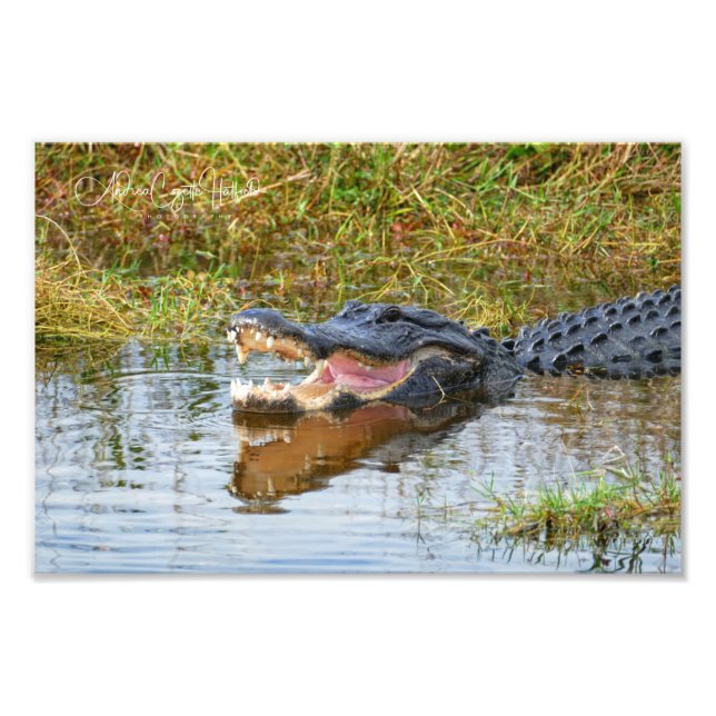 Impression Photo Open Mouth (Devant)