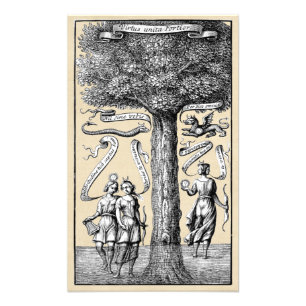 Impression Photo Oppositions alchimiques unies par conjonction