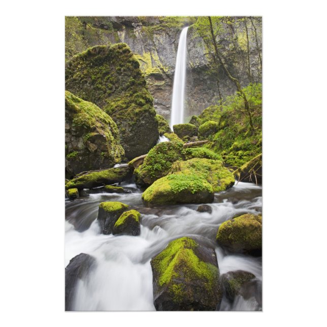 Impression Photo OR, Columbia River Gorge, Elowah Falls et (Devant)