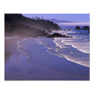 Impression Photo OR, côte de l'Oregon, Ecola SP, Indian Beach avec