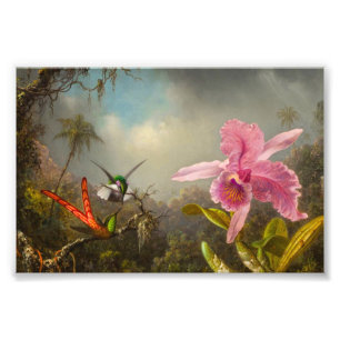 Impression Photo Orchidée avec deux colibris Heade