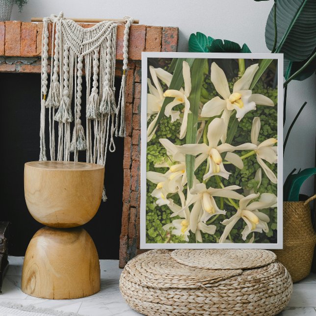 Impression Photo Orchidées blanches et fougères de Maidenhair Flora (In Situ Framed)