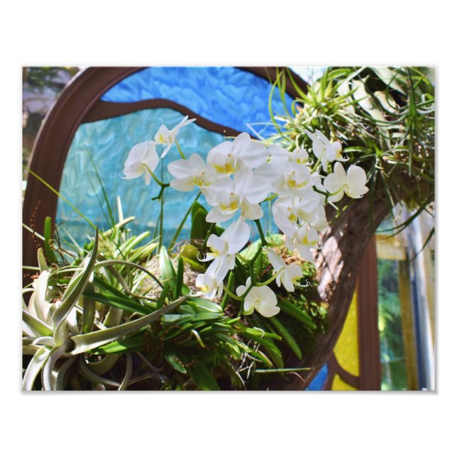 Impression Photo Orchidées d'été (Devant)