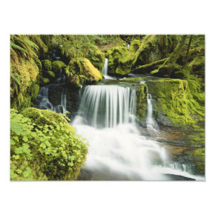 Impression Photo Oregon, Cascade dans le parc national Willamette