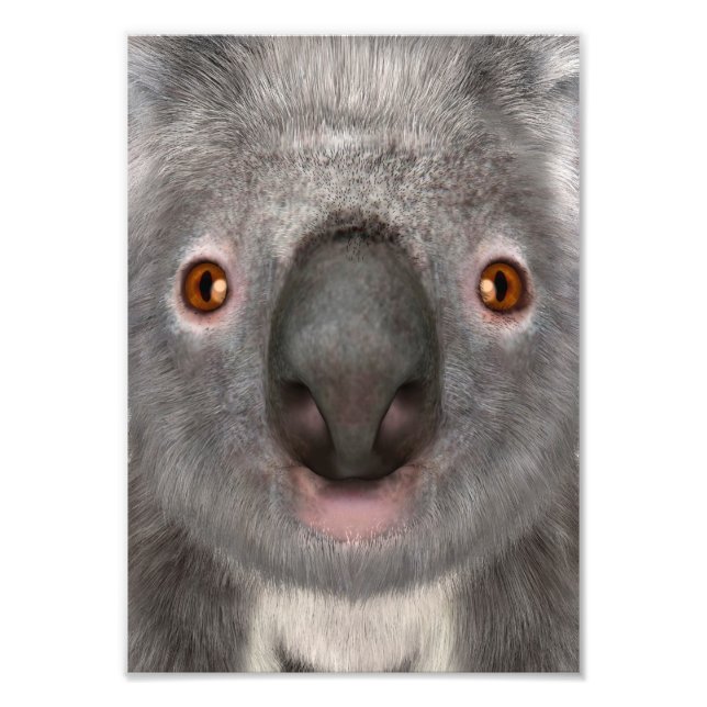 Impression Photo Ours koala (Devant)