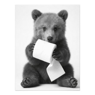 Impression Photo Ours mignon tenant du papier toilette, minimaliste
