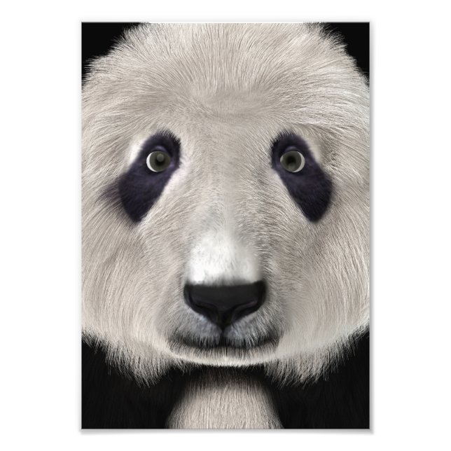 Impression Photo Ours Panda (Devant)