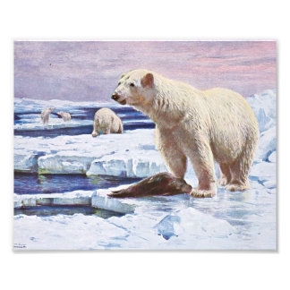 Impression Photo Ours polaires sur les flots de glace Art
