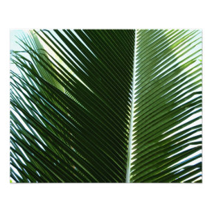 Impression Photo Overlapping Palm Fronds Tropical Green Abstract