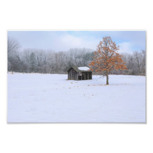 Impression Photo Paddock couvert de neige (Devant)