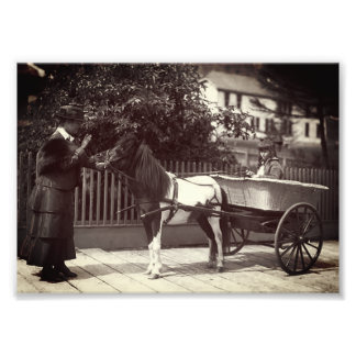 Impression Photo Paint Pony Cart vintage à Juneau, Alaska