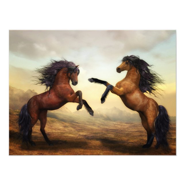 Impression Photo paire de chevaux sauvages (Devant)