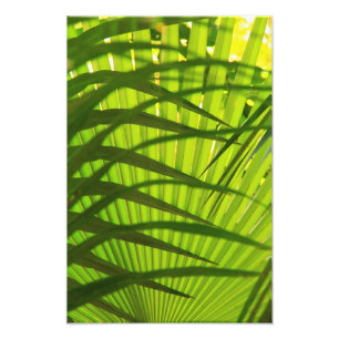 Impression Photo Palm Frond Layers, Motif Paysage Abstrait