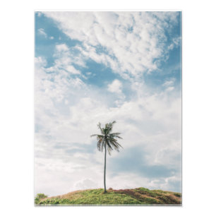 Impression Photo Palme Lone Sous Ciel Bleu   Tropical minimaliste