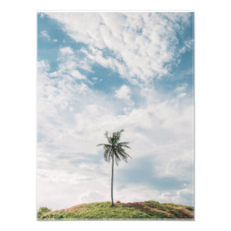 Impression Photo Palme Lone Sous Ciel Bleu | Tropical minimaliste