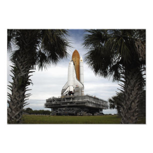 Impression Photo Palmetto arbres cadre navette spatiale Endeavour