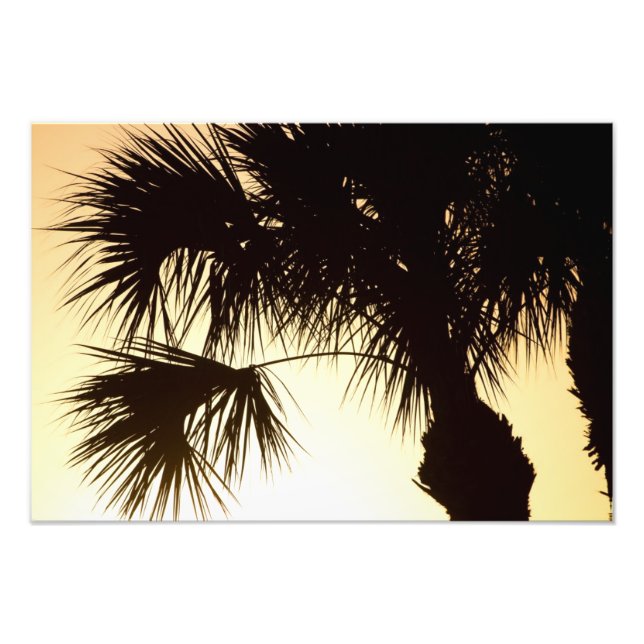 Impression Photo Palmetto Sunrise, Floride (Devant)