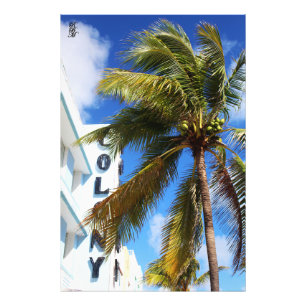 Impression Photo Palmier sur Miami Beach