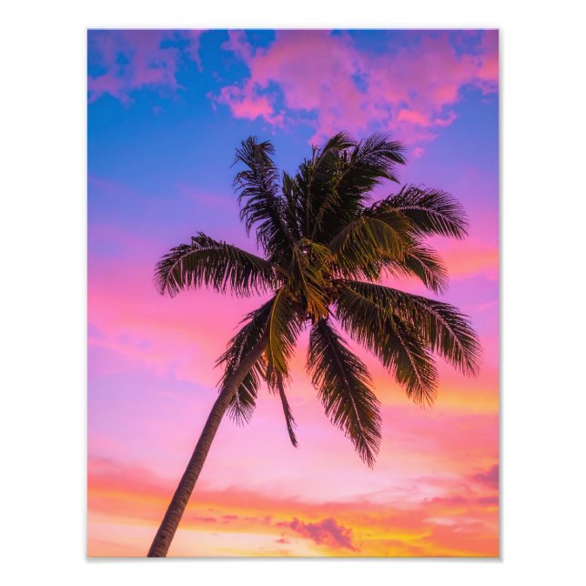 Impression Photo palmiers (Devant)