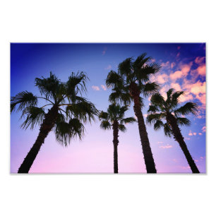 Impression Photo Palmiers se balançant à Noël à Destin en Flori