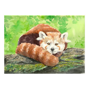 Impression Photo Panda rouge